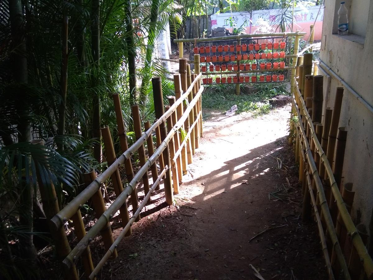 Bed and Breakfast Elphinstone Residencia Kochi Exterior foto